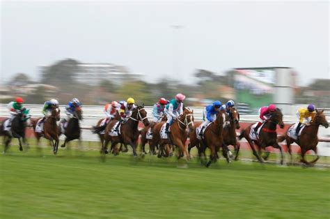 2021 caulfield cup|Caulfield Cup 2021: Who won, replay, prize money, betting odds.